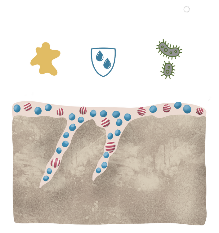 Science diagram